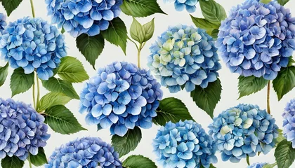 Schilderijen op glas seamless pattern with beautiful hydrangea blue flowers © Richard