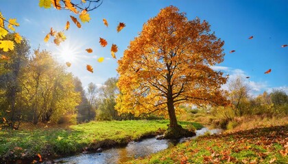 autumn tree with flying leaves in a clearing near a stream on a sunny day