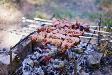 Barbecue beef pork shashlik. Cooking outdoor