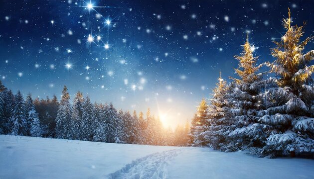 christmas background with stars and trees in winter forest