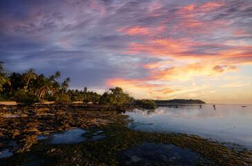 Fototapeta na wymiar Landscape with mangrove trees on low tide coral beach.