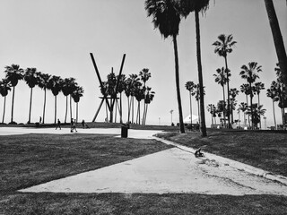 Grayscale of Venice Beach in California