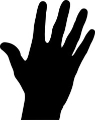 Fototapeta premium hand illustration isolated on transparent background. 