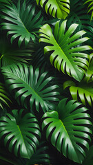 Lush Canopy: Illustration of Green Tropical Forest with Natural Leaves. tropical forest background illustration. vertical 9:16 format. generative AI