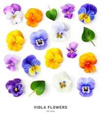 Fototapeten Spring colorful viola pansy flowers pattern isolated on white background. © ifiStudio