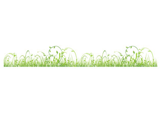 Horizontal seamless border with realistic spring green grass lawn or meadow on white background. 