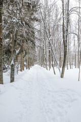 Beautiful winter landscape of trees. Winter nature background. The village is covered with snow.Country pedestrian road in the snow. Consequences of a snowstorm. 