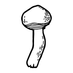 Hand-Drawn Mushroom
