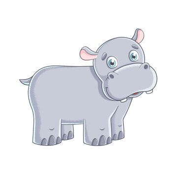 Cute baby hippo digital illustration on transparent png background.