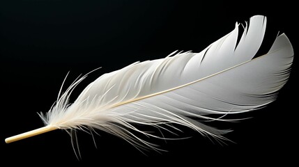 Beautiful white feather resting on a contrasting black background, AI-generated.