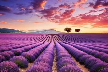 Foto op Aluminium AI generated illustration of an idyllic sunset landscape featuring a field of blooming lavender © Wirestock