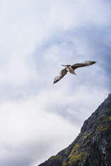 Snowdonia National Park