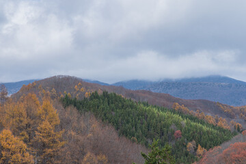 Fototapeta premium 日本 福島県耶麻郡北塩原村、裏磐梯にある中津川渓谷の風景