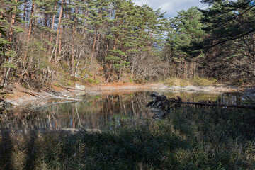日本　福島県耶麻郡北塩原村、裏磐梯高原の五色沼湖沼群の青沼