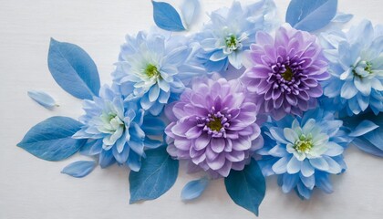 beautiful abstract color purple and blue flowers on white background and light blue flower frame and purple leaves texture