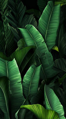 Background with greenery, green palms and banana leaves. Sun rays.
