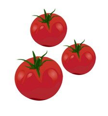 tomatoes on a white background