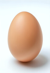 One chicken egg on a white background