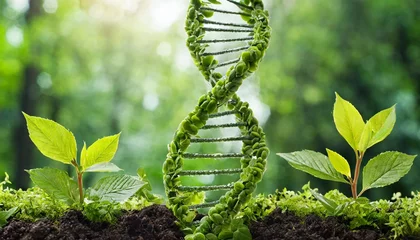 Cercles muraux Herbe dna helix with green plants