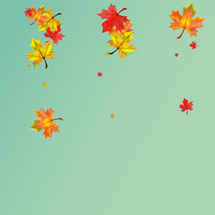 Obraz na płótnie Canvas Ocher Leaf Background Green Vector. Leaves Ground Design. Autumnal Flying Plant. Decoration Foliage Card.