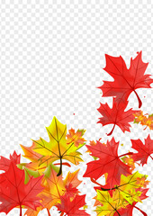 Orange Leaves Background Transparent Vector. Leaf September Template. Autumnal Isolated Foliage. Abstract Plant Frame.
