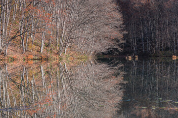 日本　福島県耶麻郡北塩原村、裏磐梯高原の曲沢沼の水鏡に映るほとりの風景