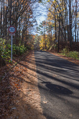 Naklejka premium 日本 福島県耶麻郡北塩原村、裏磐梯高原の紅葉の並木道