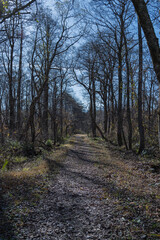 日本　福島県耶麻郡北塩原村、裏磐梯高原の中瀬沼探勝路