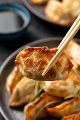 Crispy fried dumplings Gyoza with vegetables. Asian food.