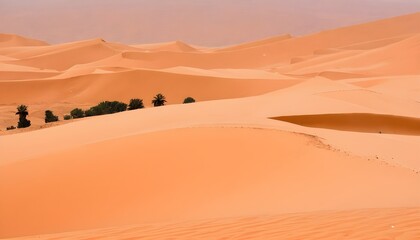 Fototapeta na wymiar Sand dunes in the Sahara Desert, Merzouga, Morocco 