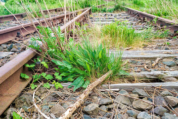 old Railroad Track