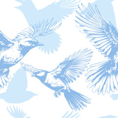 Seamless pattern of blue birds. hand drawing. Not AI, Vector illustration