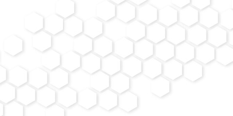 Abstract White Hexagonal Background. Luxury White Pattern. hexagon concept design abstract technology background.honeycomb white Background,geometric mesh cell texture.