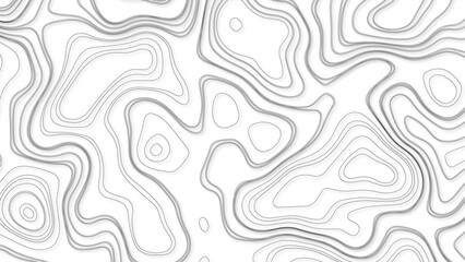 abstract pattern with lines. background of the topographic map. elevation contouring outline cartography texture. geographic abstract grid. futuristic wireframe landscape background - obrazy, fototapety, plakaty