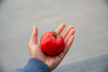 Male hand offering a rasberry Tomato. Health Concept