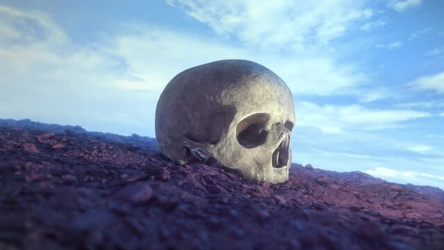 A baron landscape featuring a human skull