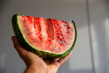 rotten watermelom in the man hand