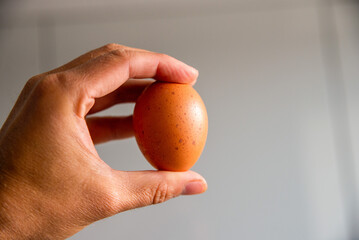 Man hand holding egg on blurred background