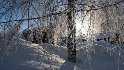 Winter fairytales, cold winter in the north of Sweden - 733151387
