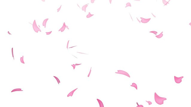 桜の花びらが散るアニメーション