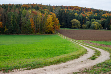 field near the forest. landscape of bavaria
