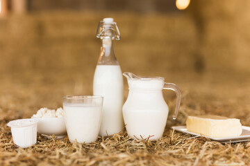 Milk, cottage cheese, cream, cheese on table against the background of hay