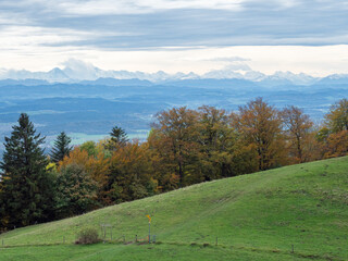 Fototapeta na wymiar Roggenflue, Switzerland - October 29th 2023: View from the Jura mountains towards the Swiss Alps.