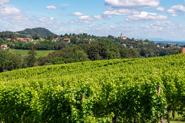 Fototapeta na wymiar Scenic view of vineyards near Ehrenhausen an der Weinstrasse (wine road), Leibnitz, South Styria, Austria. Winery Skoff stretching over lush green hills. Idyllic hiking trails in Styrian Tuscany