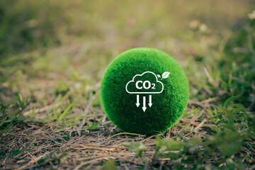 world globe concept of greenhouse gas emissions targets net zero and carbon neutrality, Carbon...