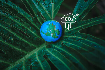 world globe concept of greenhouse gas emissions targets net zero and carbon neutrality, Carbon...