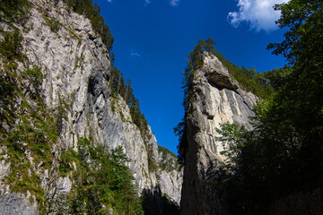 Dangerous vertical stones covered by pines in a narrow valley in Bicaz Gorge (Romanian: Cheile Bicazului). It is located in Neamt and Harghita counties, Transylvania, Romania