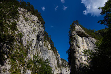 Steep rocks covered by pines in narrow valley in Bicaz Gorge (Romanian: Cheile Bicazului). The...