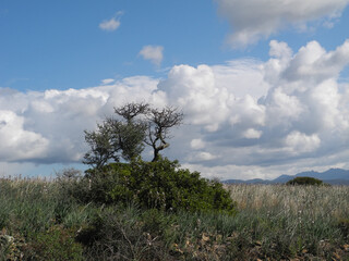 Obraz premium Sardegna