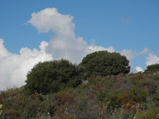 Obraz premium Sardegna